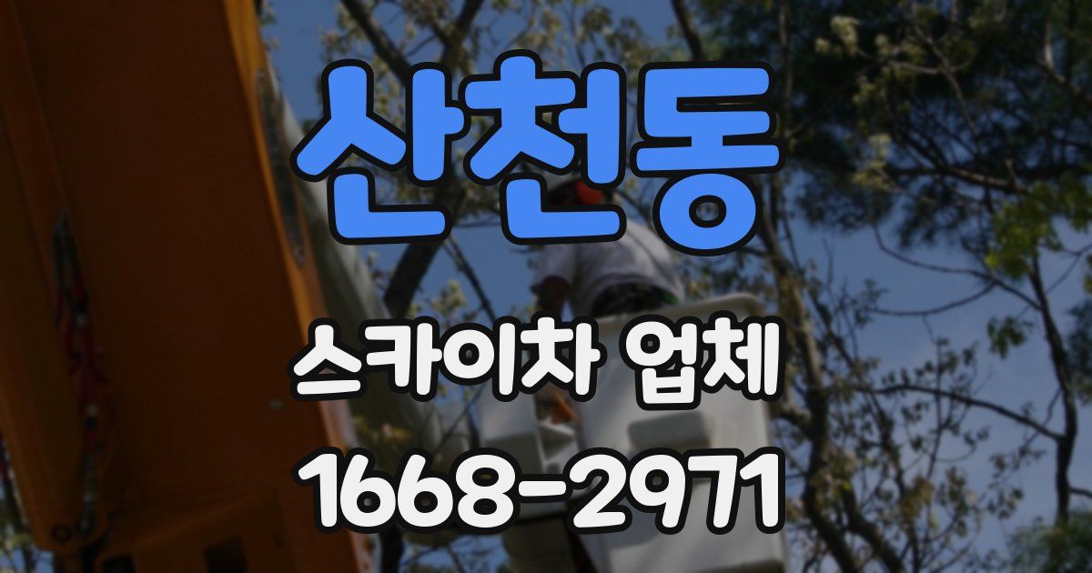 산천동 스카이차 업체
