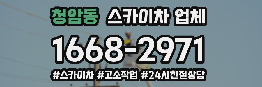 청암동 스카이차 업체