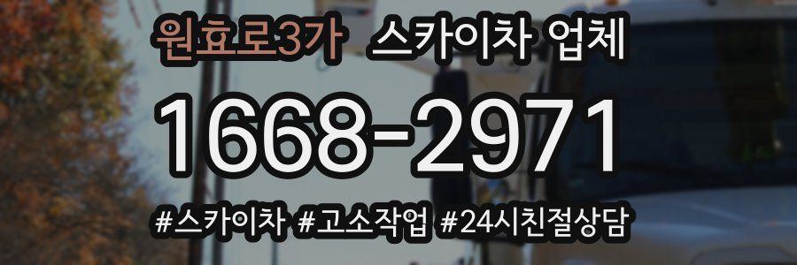 원효로3가 스카이차 업체
