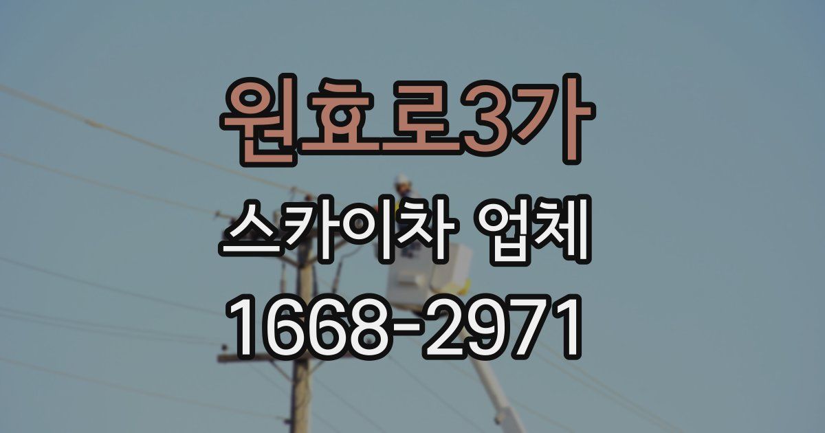 원효로3가 스카이차 업체