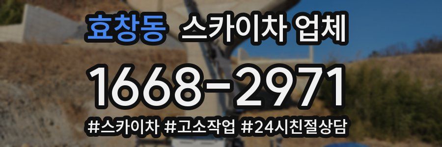 효창동 스카이차 업체