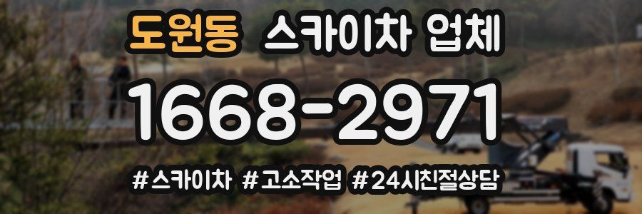 도원동 스카이차 업체