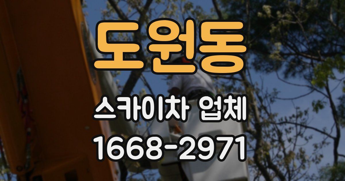 도원동 스카이차 업체