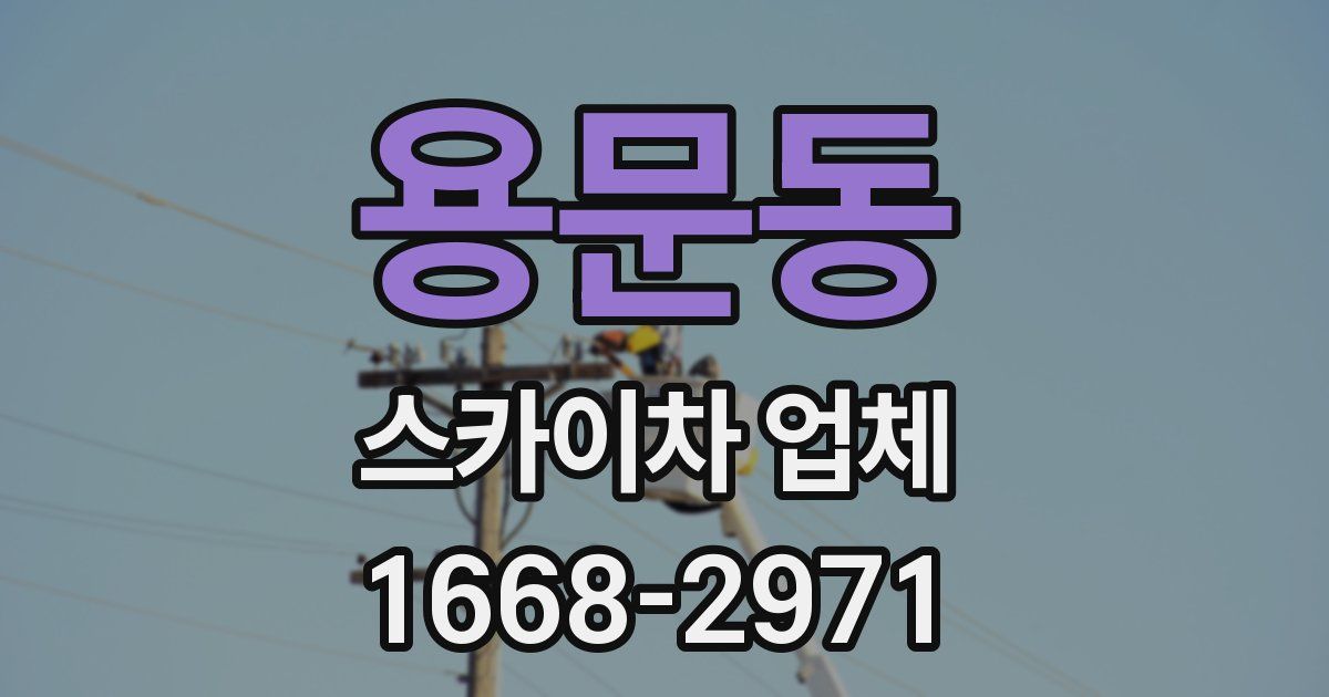 용문동 스카이차 업체
