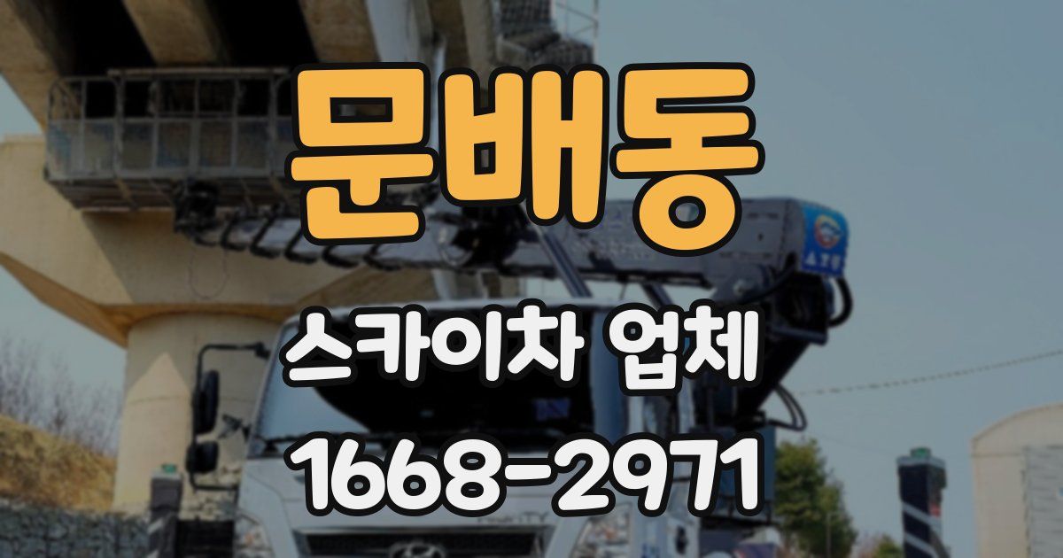 문배동 스카이차 업체