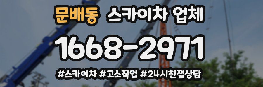 문배동 스카이차 업체