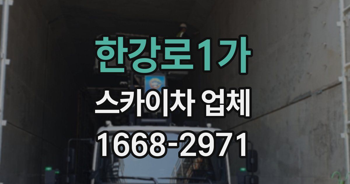 한강로1가 스카이차 업체