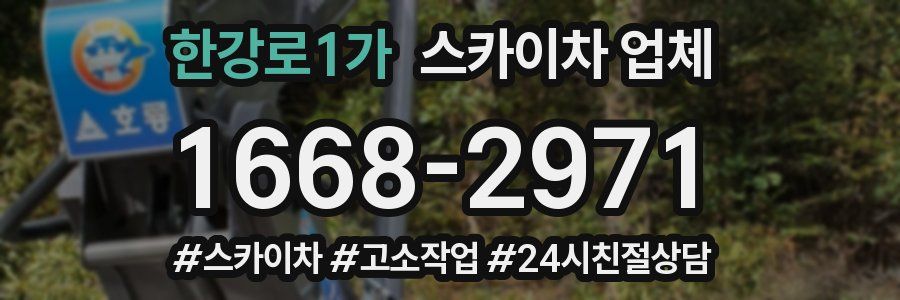 한강로1가 스카이차 업체