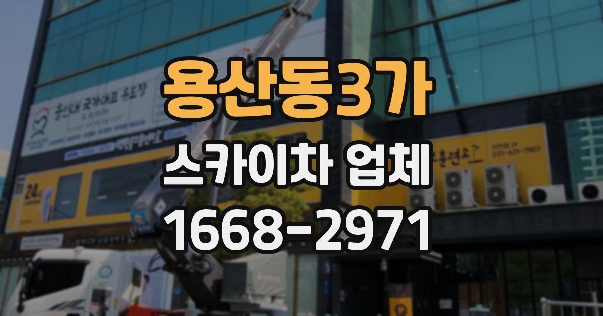 용산동3가 스카이차 업체