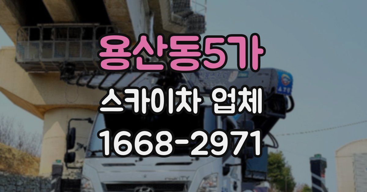 용산동5가 스카이차 업체