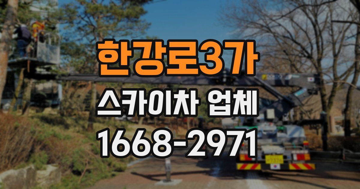 한강로3가 스카이차 업체