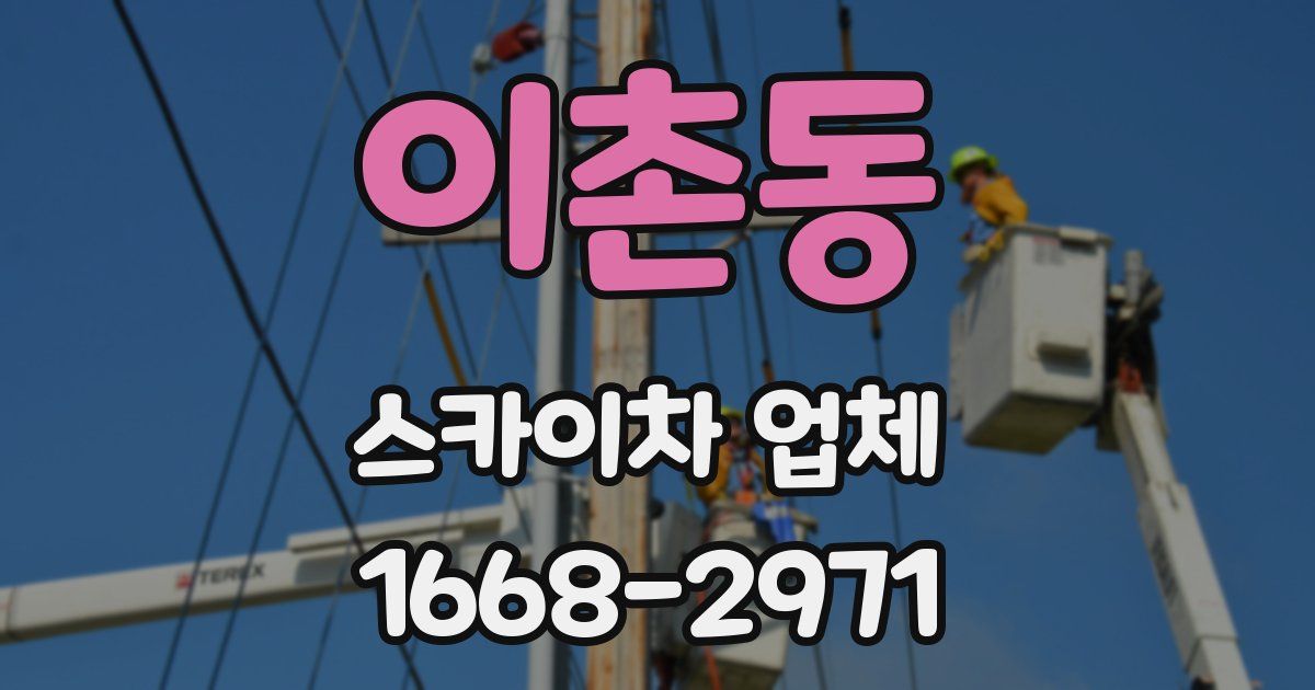 이촌동 스카이차 업체