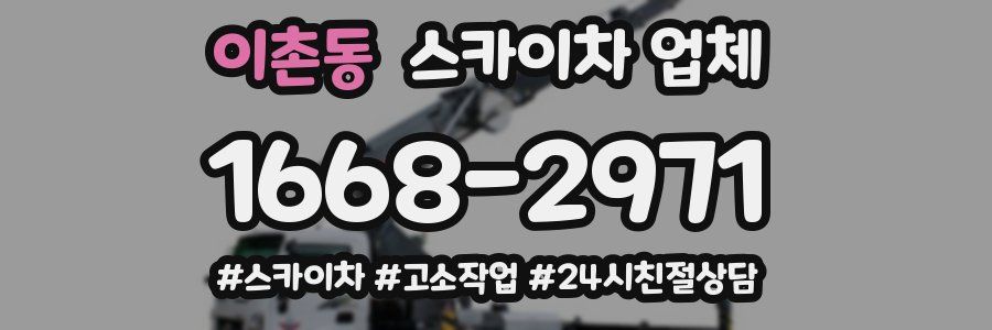 이촌동 스카이차 업체