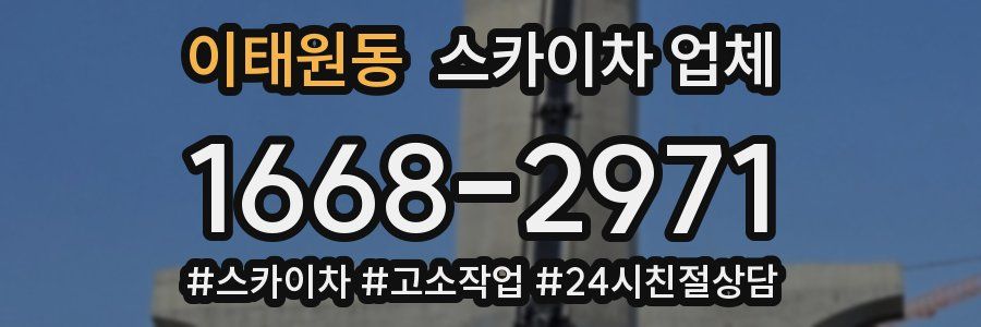 이태원동 스카이차 업체