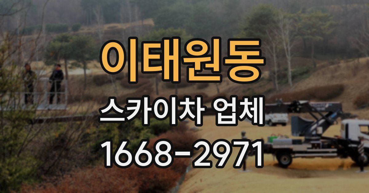 이태원동 스카이차 업체