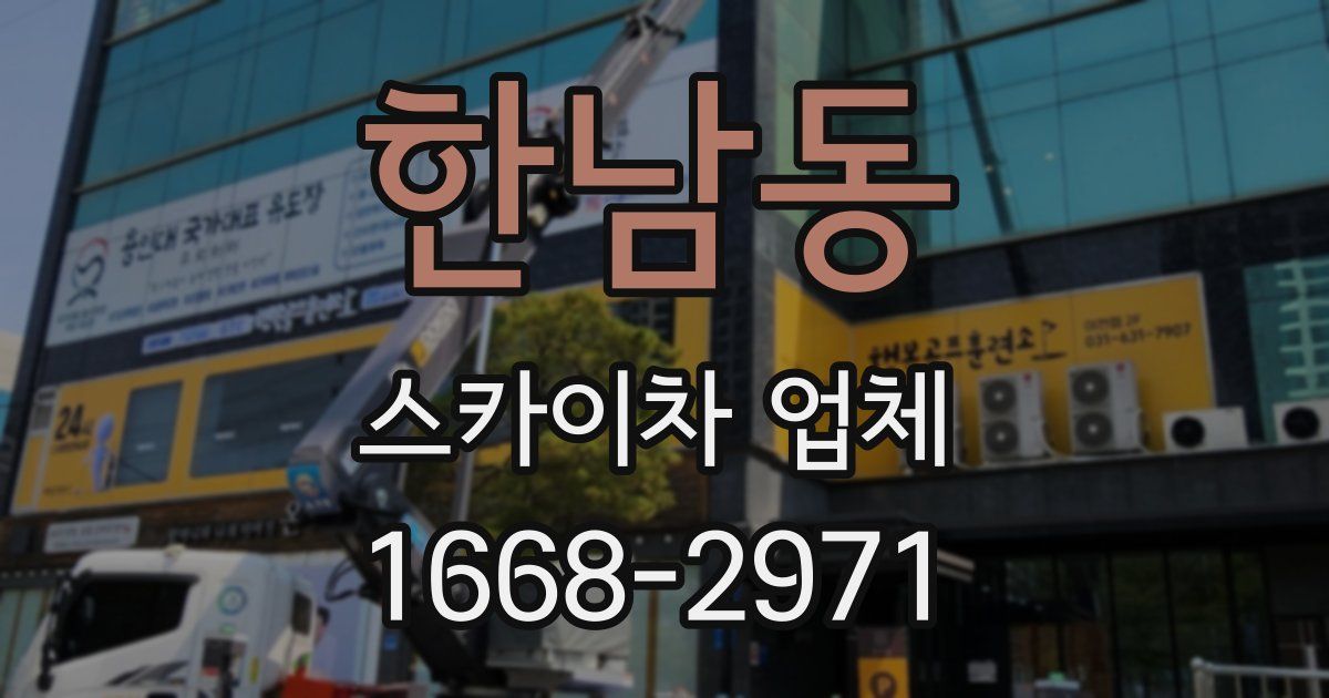 한남동 스카이차 업체