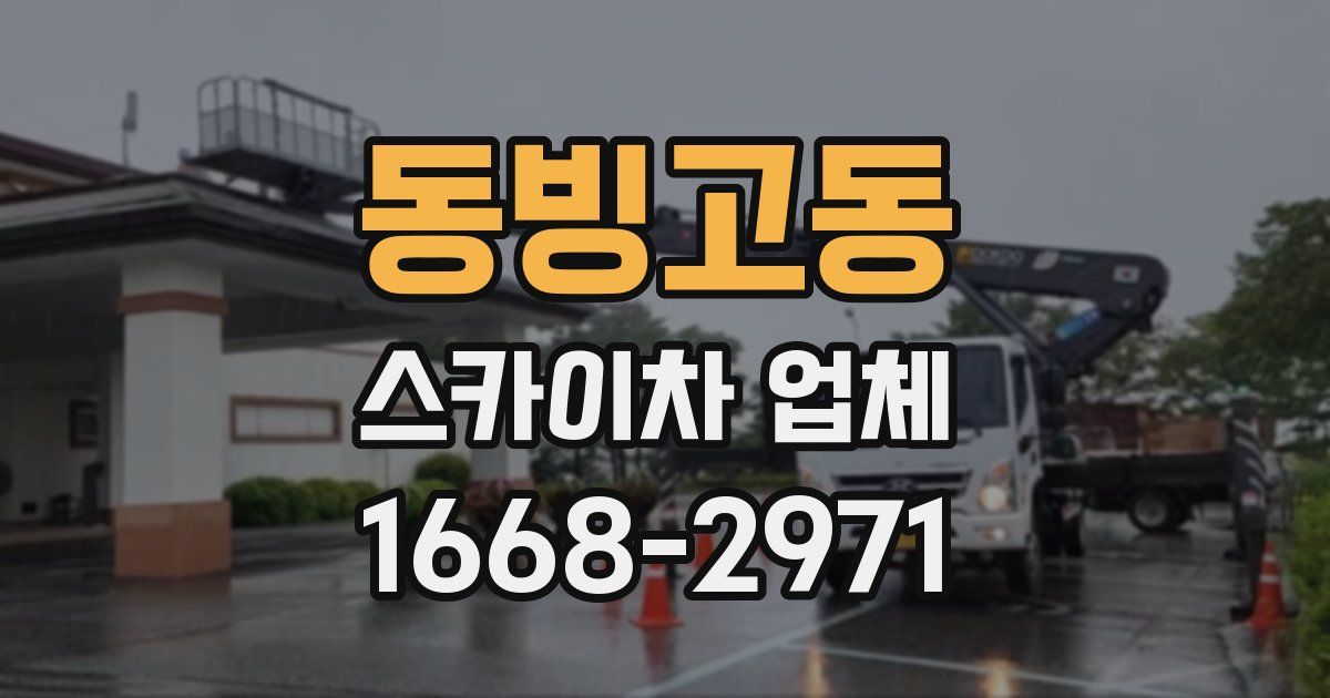 동빙고동 스카이차 업체