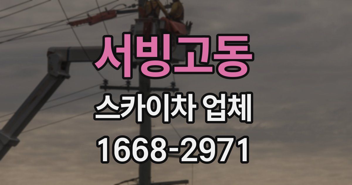 서빙고동 스카이차 업체