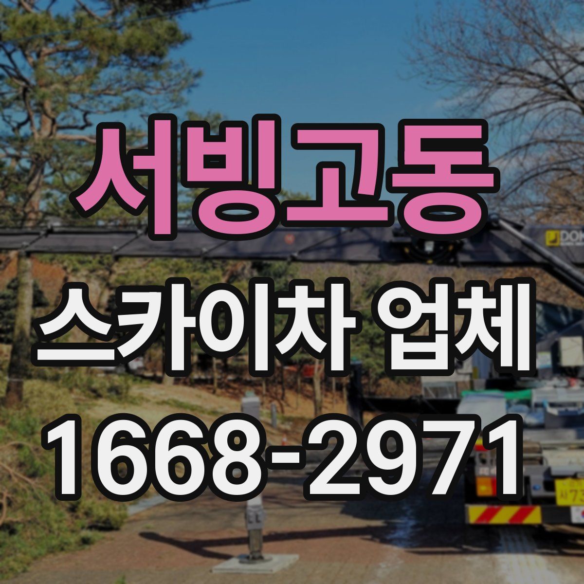 서빙고동 스카이차 업체
