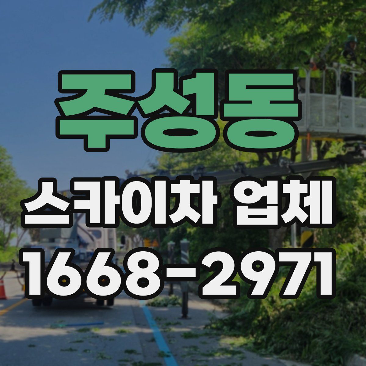 주성동 스카이차 업체