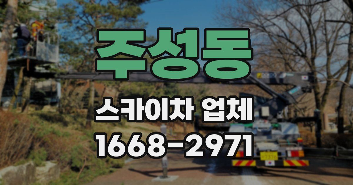 주성동 스카이차 업체