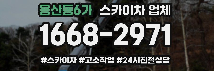 용산동6가 스카이차 업체