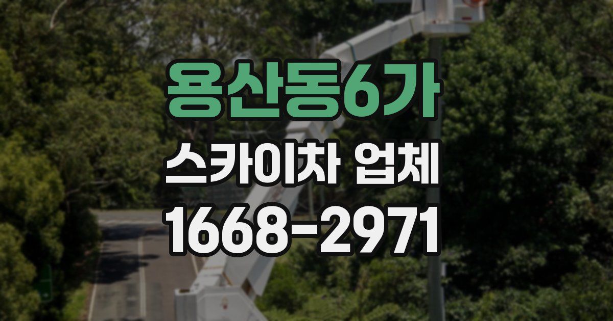 용산동6가 스카이차 업체