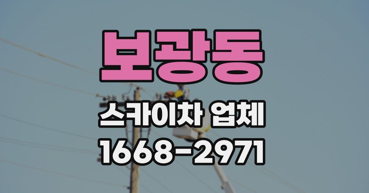 보광동 스카이차 업체