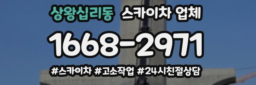 상왕십리동 스카이차 업체