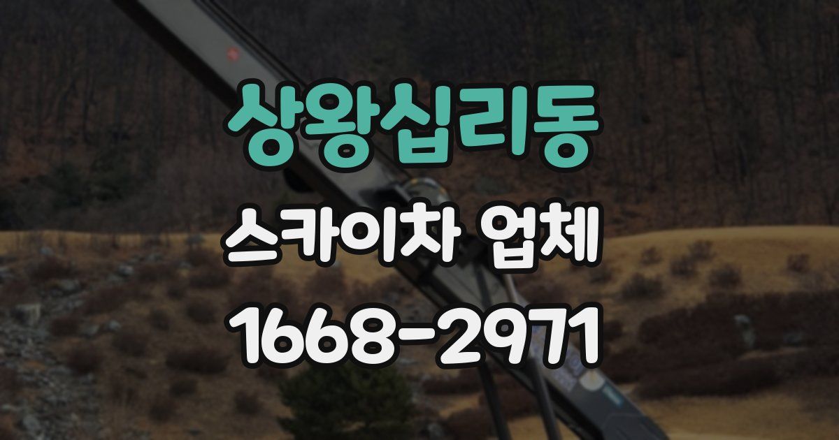 상왕십리동 스카이차 업체