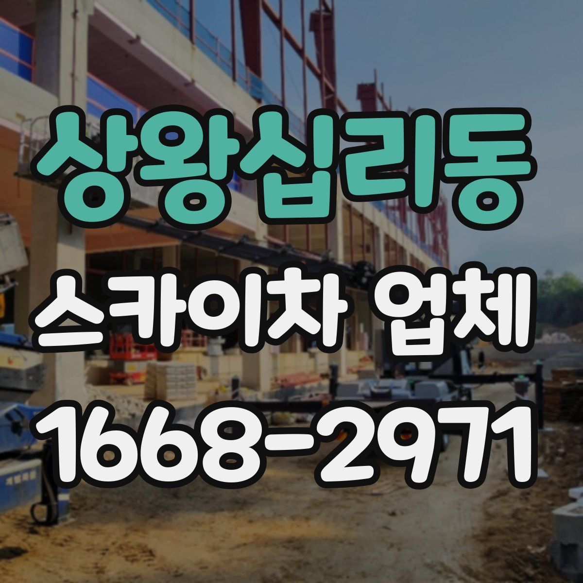 상왕십리동 스카이차 업체
