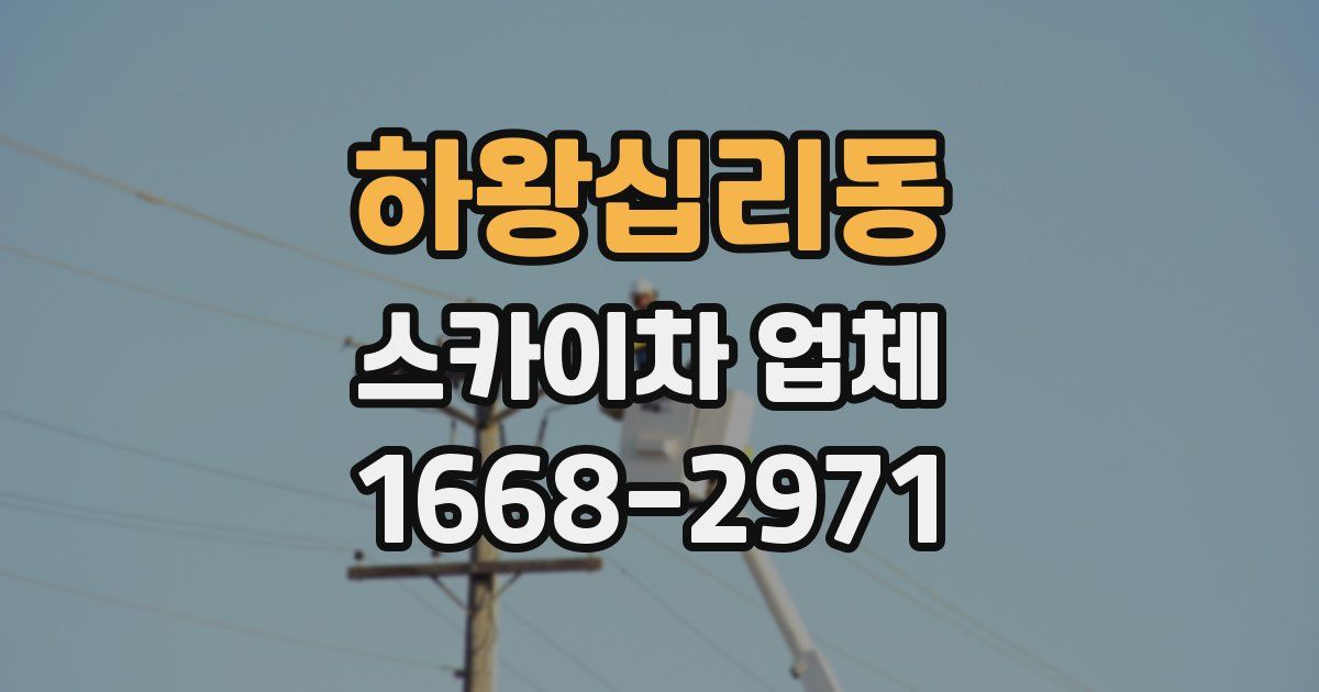 하왕십리동 스카이차 업체
