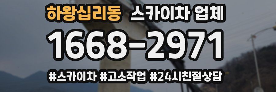 하왕십리동 스카이차 업체