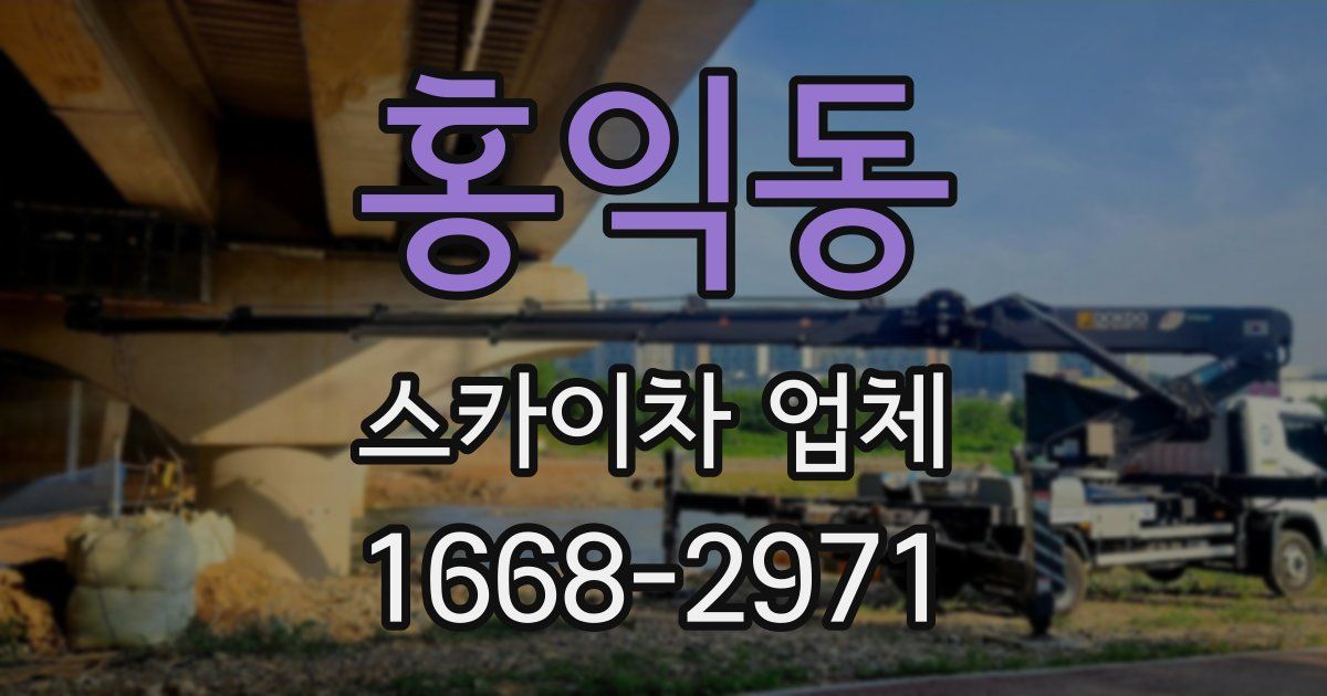 홍익동 스카이차 업체