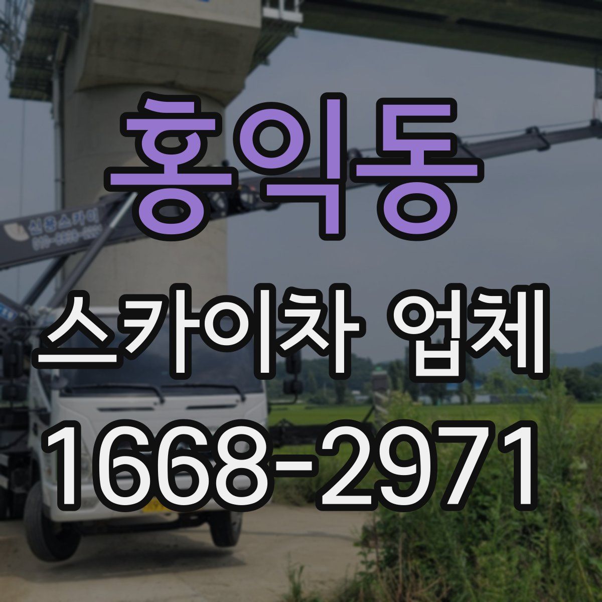 홍익동 스카이차 업체