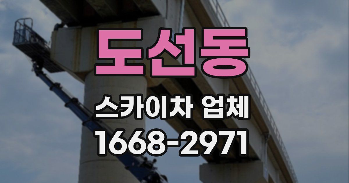 도선동 스카이차 업체