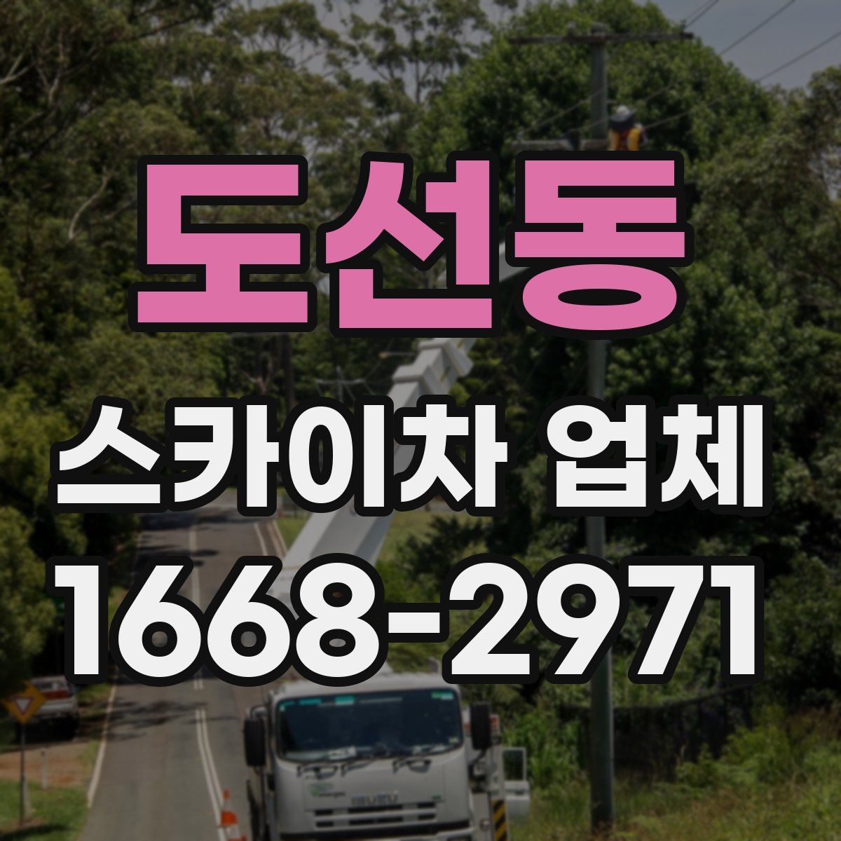 도선동 스카이차 업체