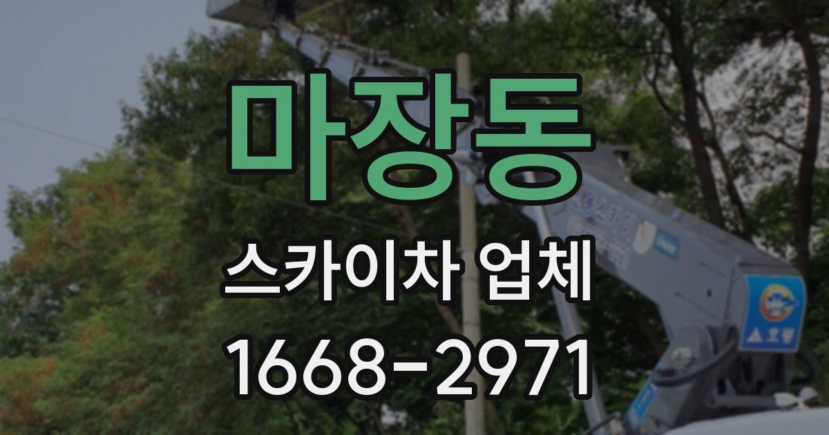 마장동 스카이차 업체