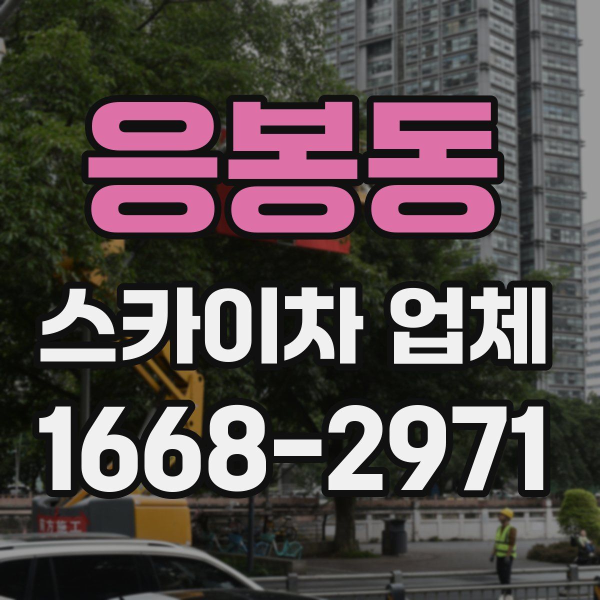 응봉동 스카이차 업체