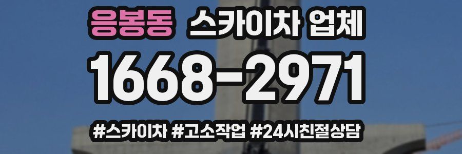 응봉동 스카이차 업체