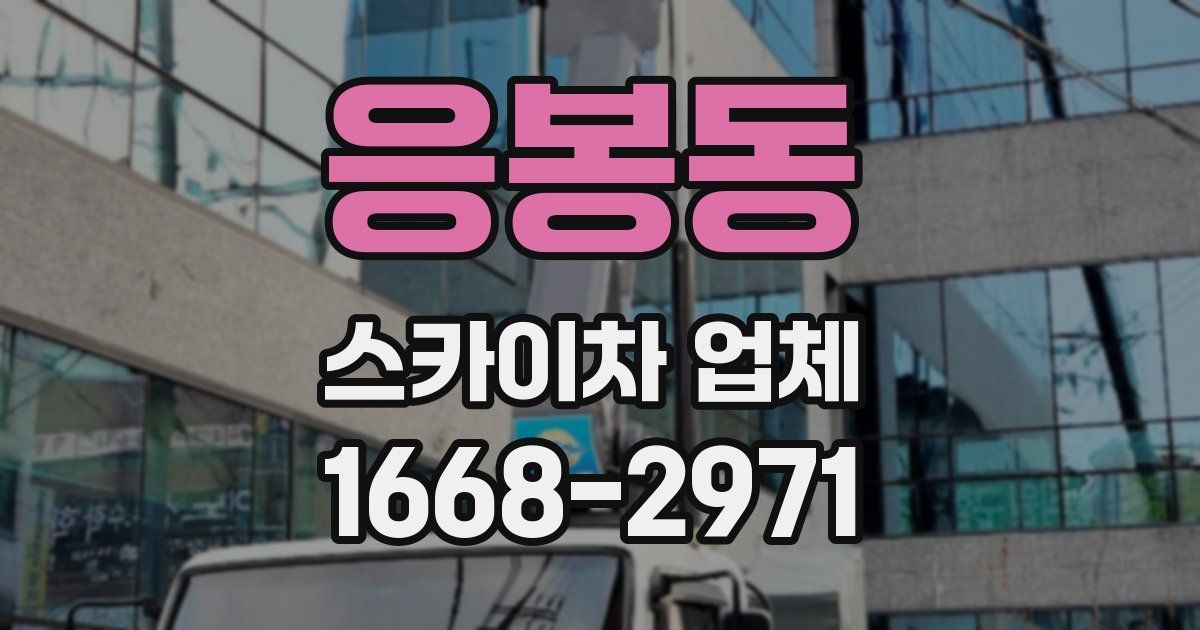 응봉동 스카이차 업체