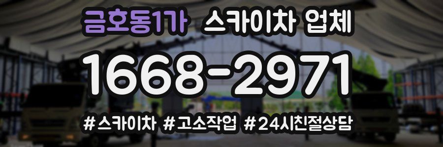 금호동1가 스카이차 업체