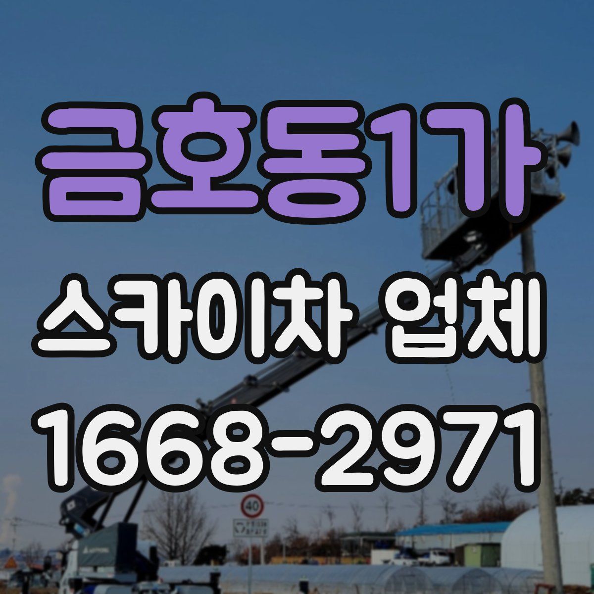 금호동1가 스카이차 업체