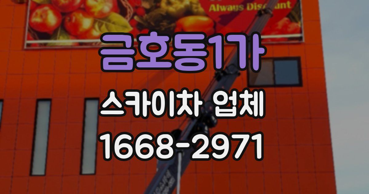 금호동1가 스카이차 업체