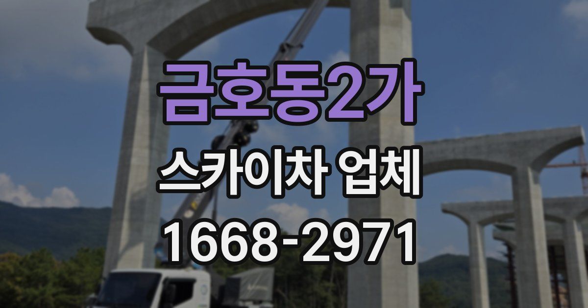 금호동2가 스카이차 업체