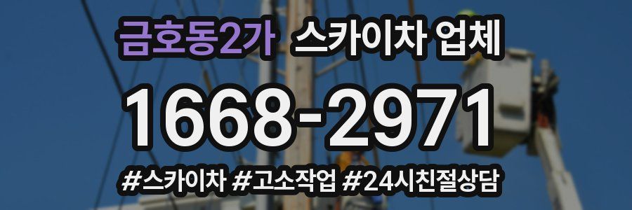 금호동2가 스카이차 업체