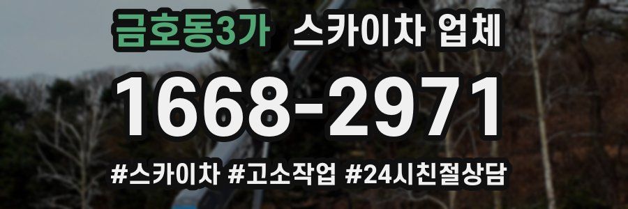 금호동3가 스카이차 업체