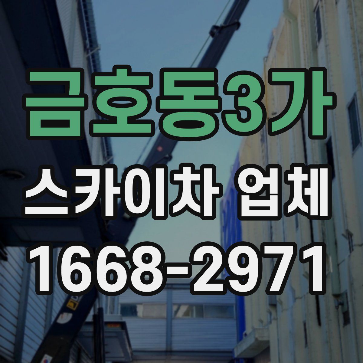 금호동3가 스카이차 업체