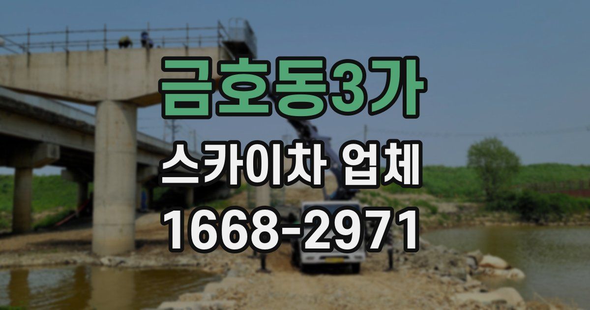 금호동3가 스카이차 업체
