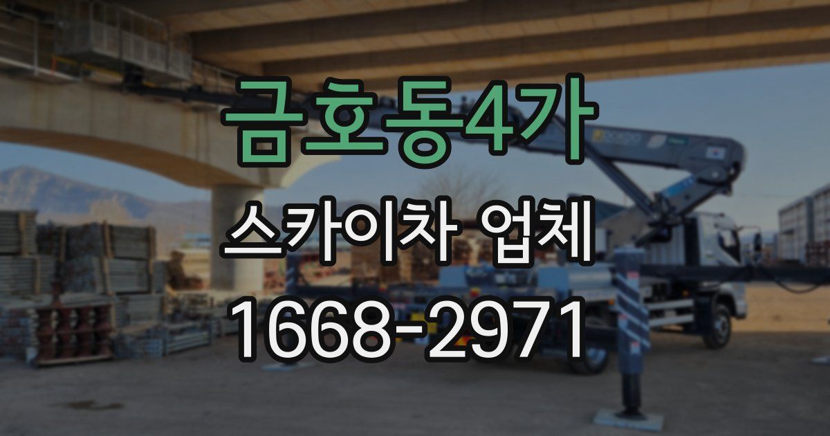 금호동4가 스카이차 업체